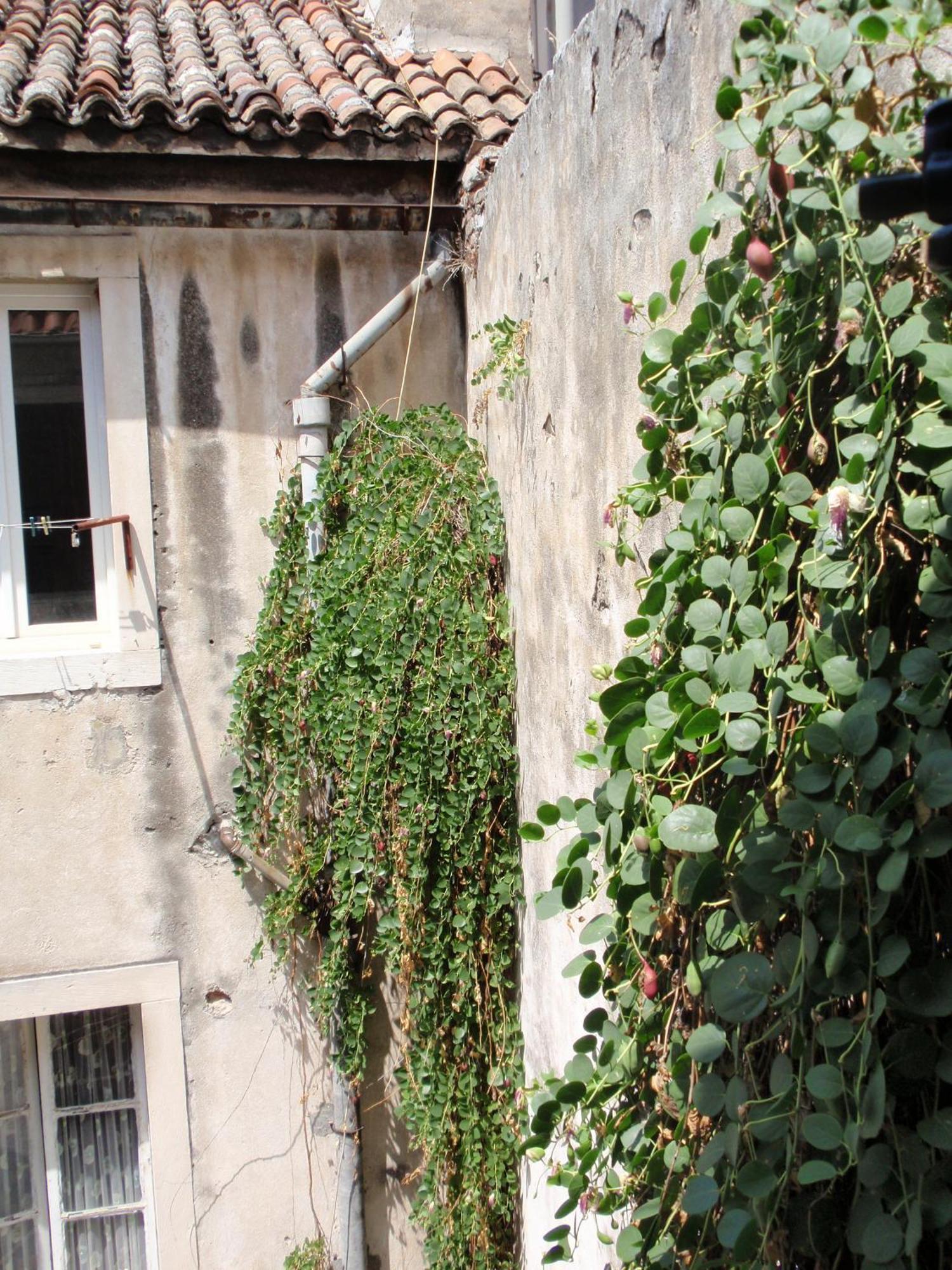 Malena Palace Experience Split Bagian luar foto